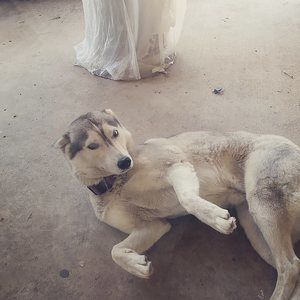 Meet your Posher, Caleb